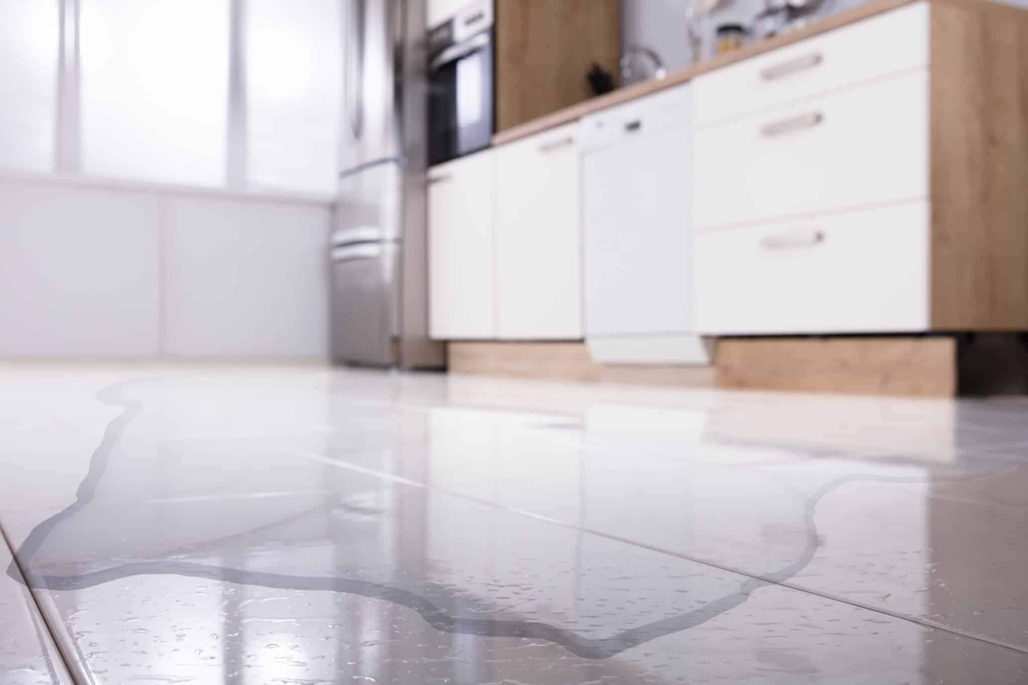 Dishwasher Not Draining? Here’s How to Fix It