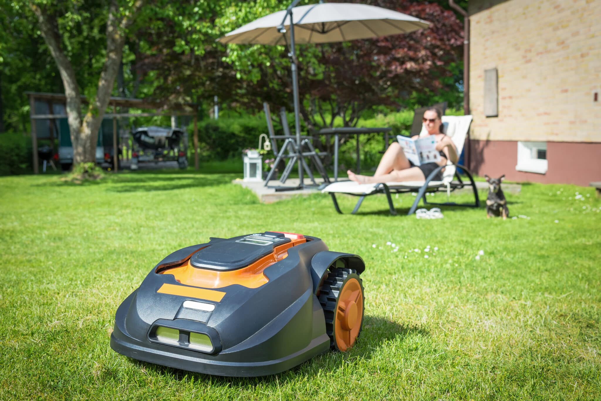Find a Robot Assistant to Clean Your Outdoor Space